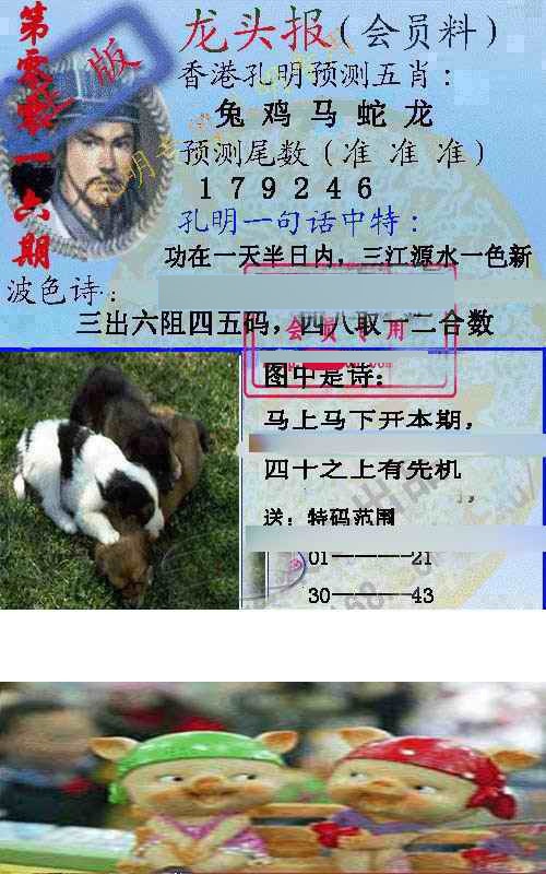 016期龙头报[图]