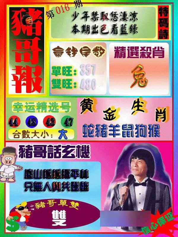 016期猪哥报[图]