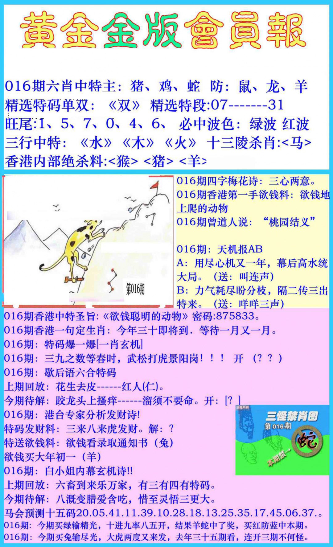016期黄金金版会员报[图]