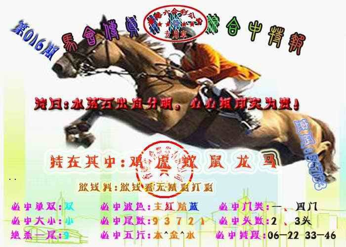 016期马会传真-综合报[图]