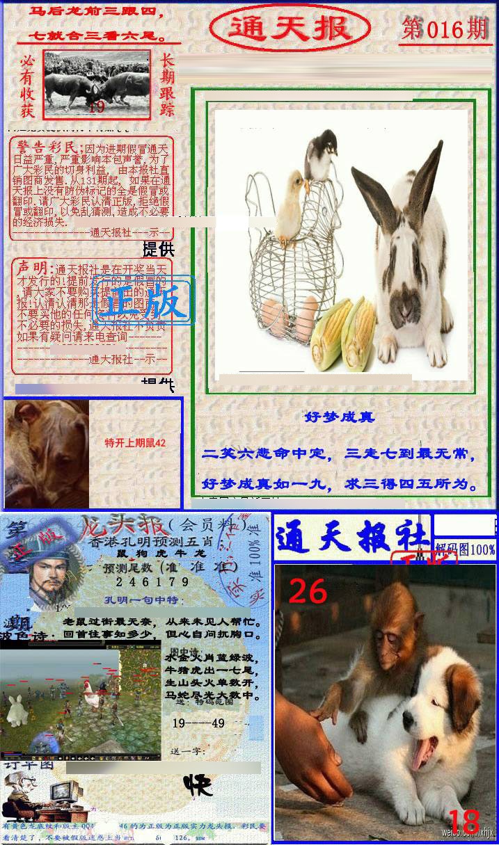 016期实力通天报[图]