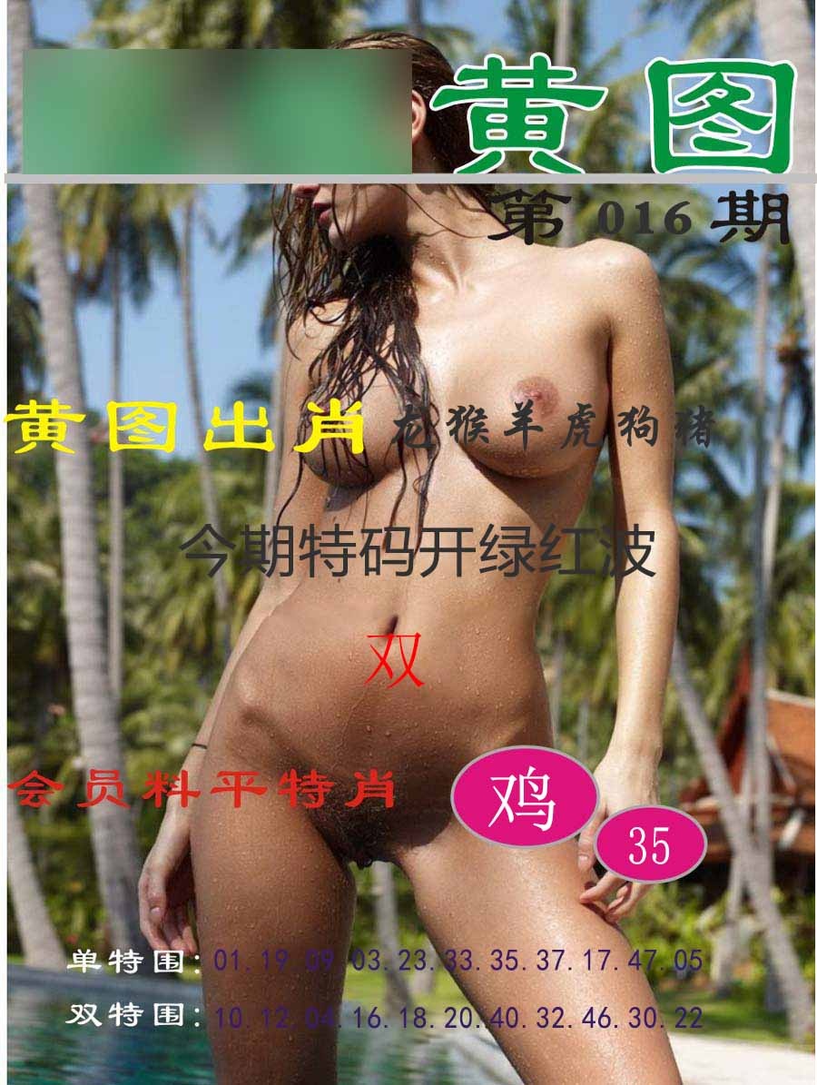 016期黄图[图]