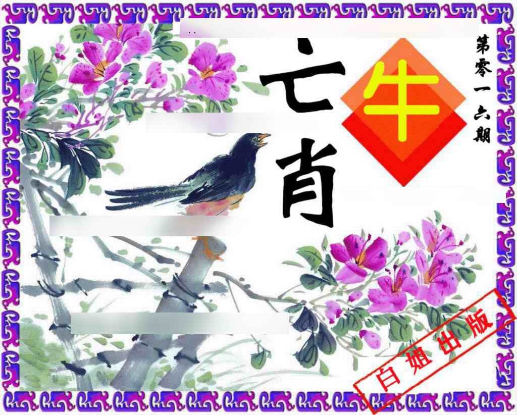 016期神鸟版[图]