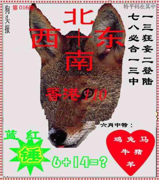 016期狗头报[图]