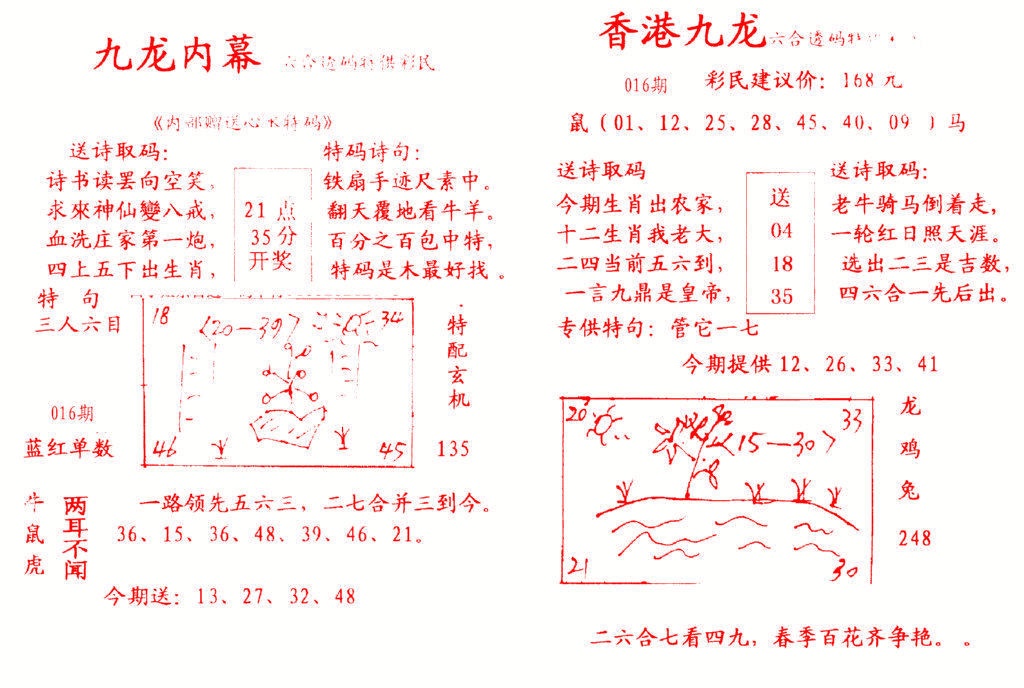 016期九龙内幕[图]