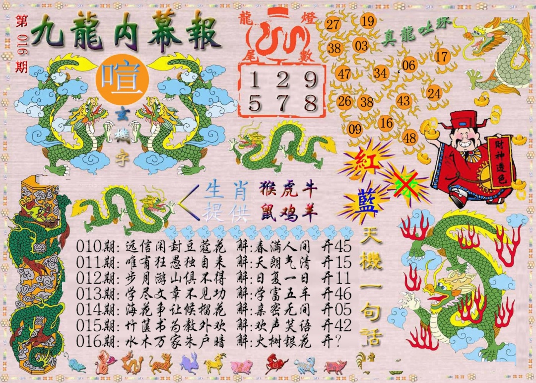 016期九龙内幕报[图]