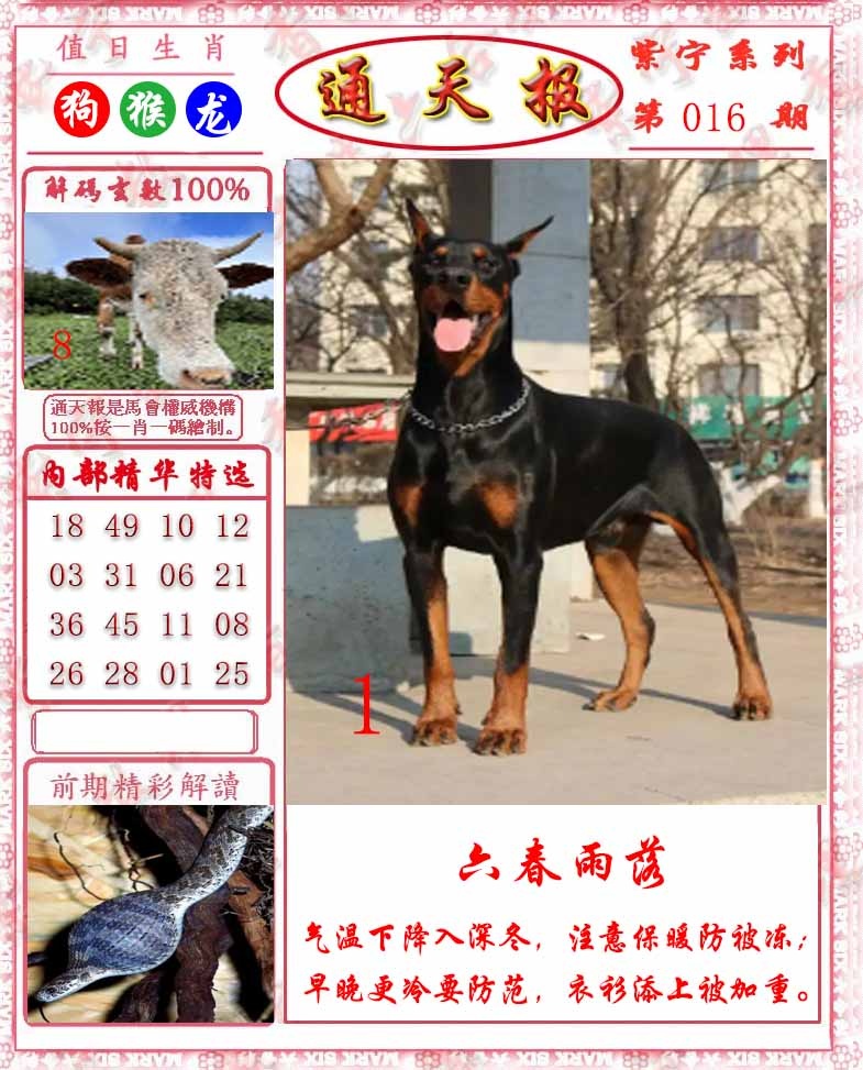 016期救通报[图]