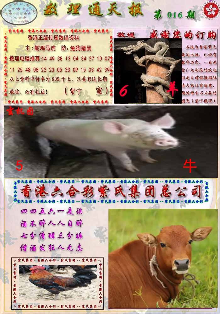 016期数通报[图]