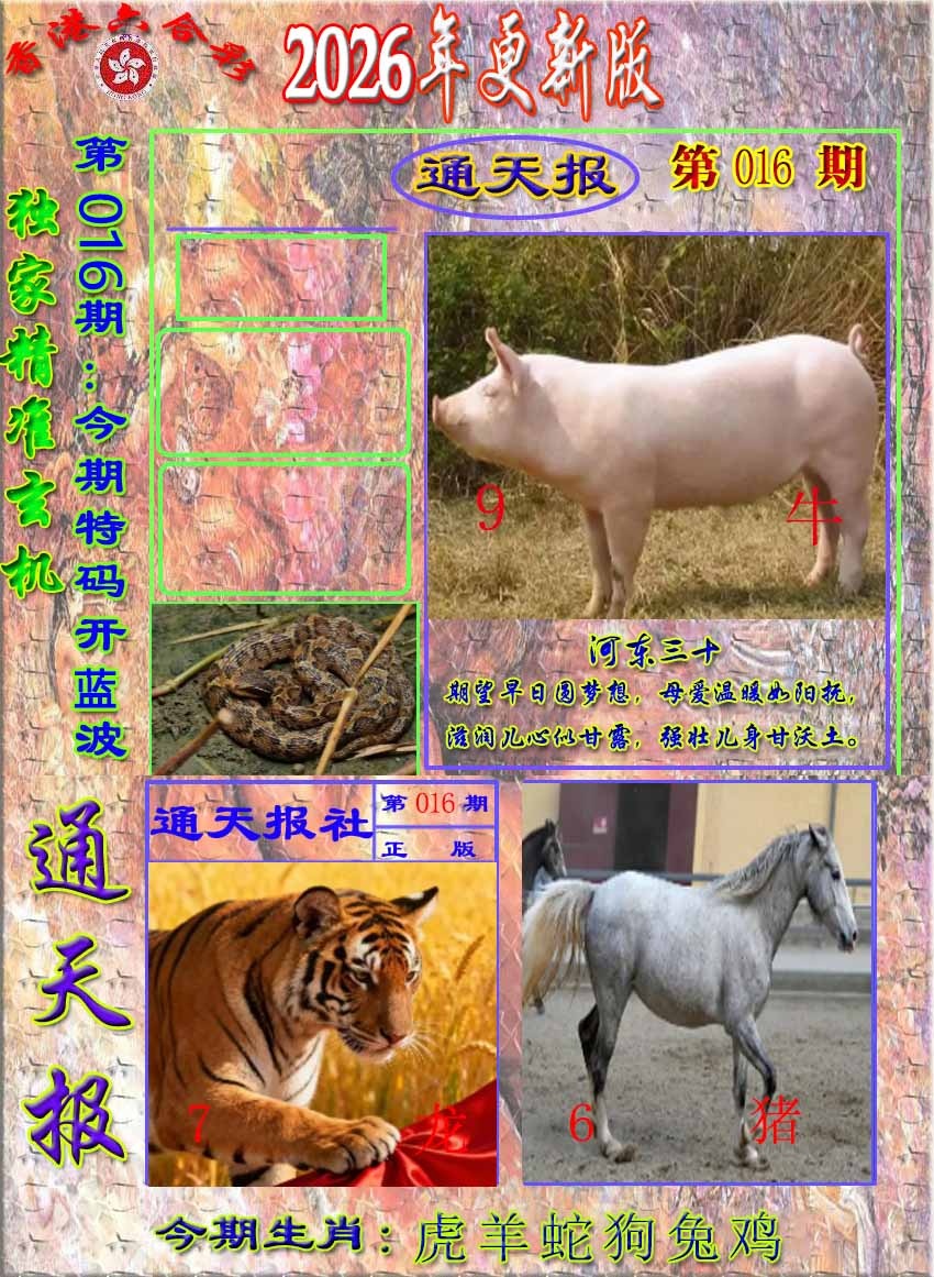 016期新通报[图]