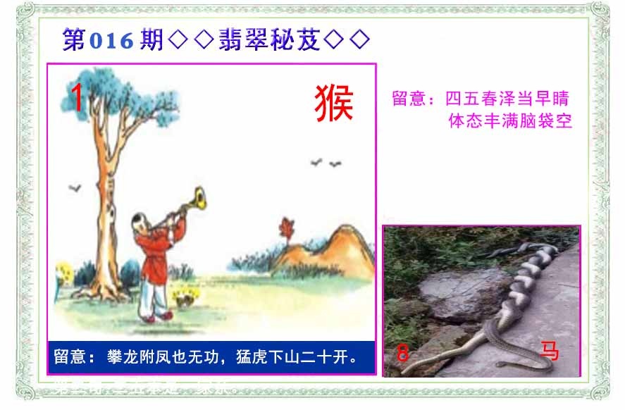 016期翡翠报[图]