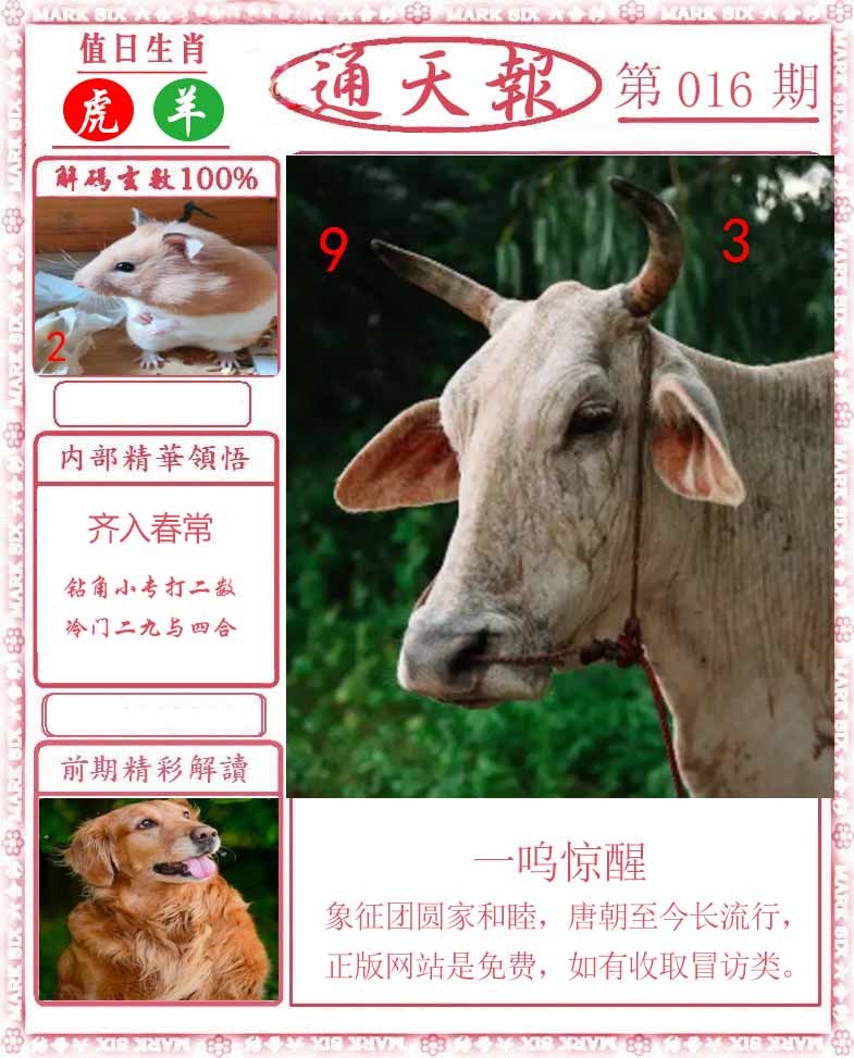 016期正版通天报[图]