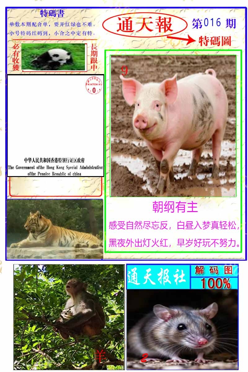 016期通天特解图[图]