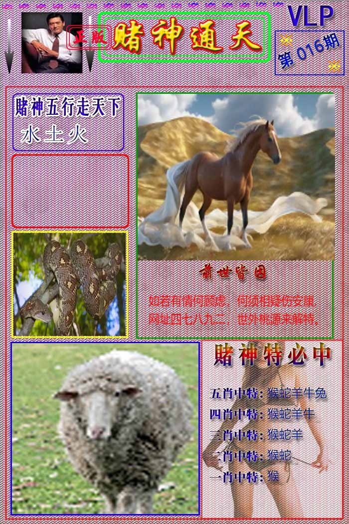 016期赌神通天报[图]