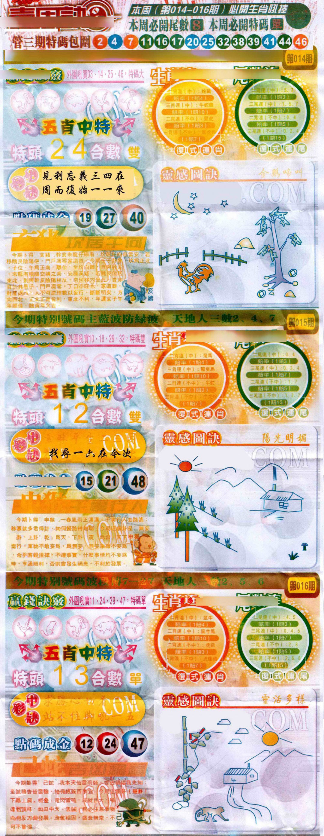 016期一周决[图]