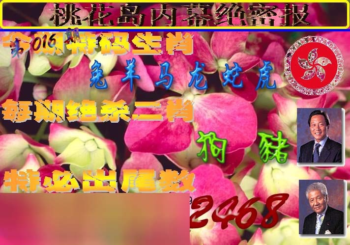 016期桃花岛内幕报[图]