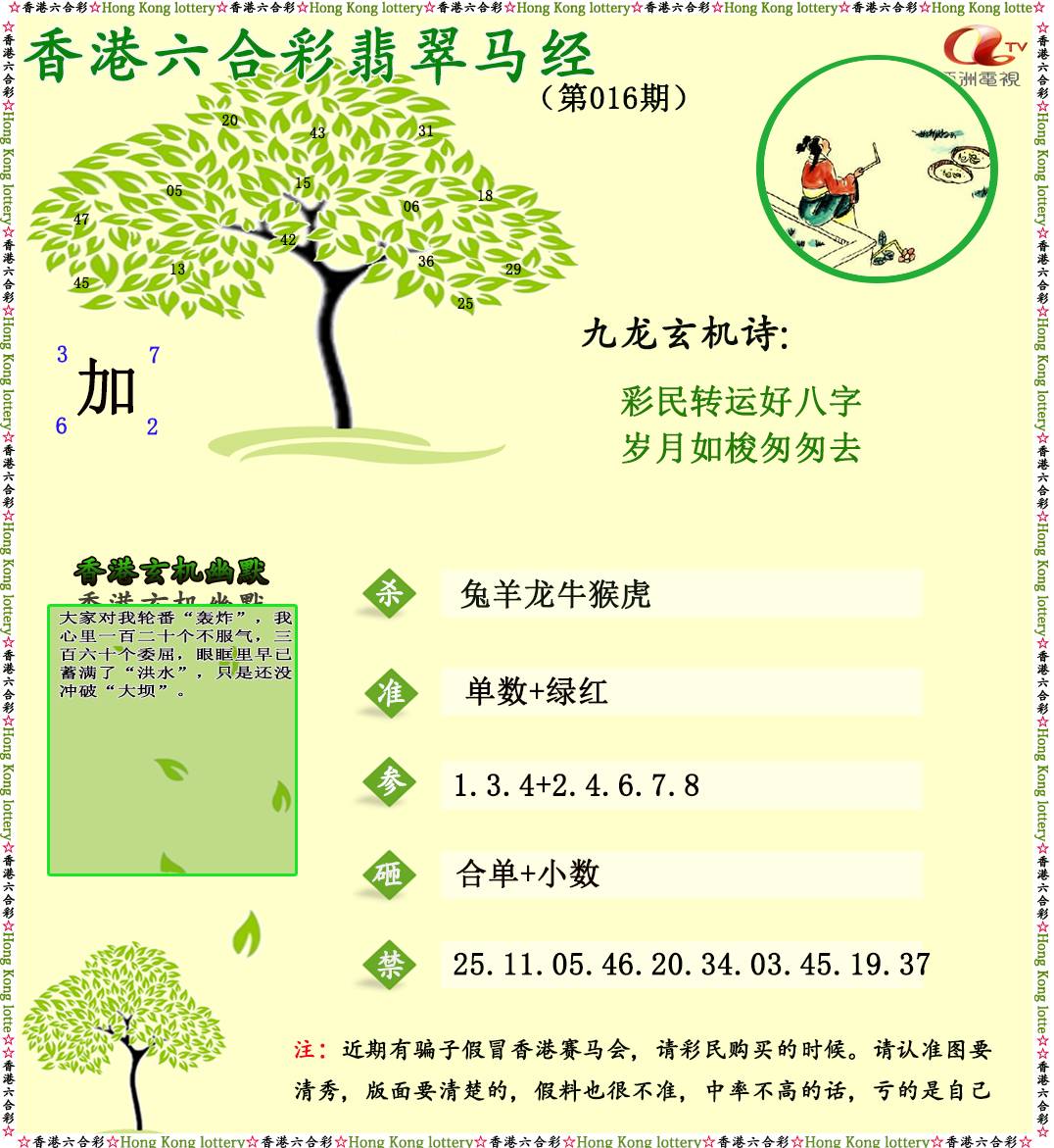 016期翡翠马经[图]