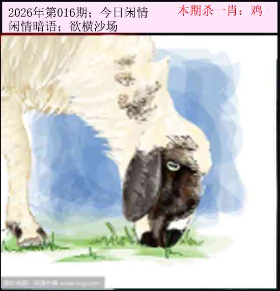 016期今日闲情[图]