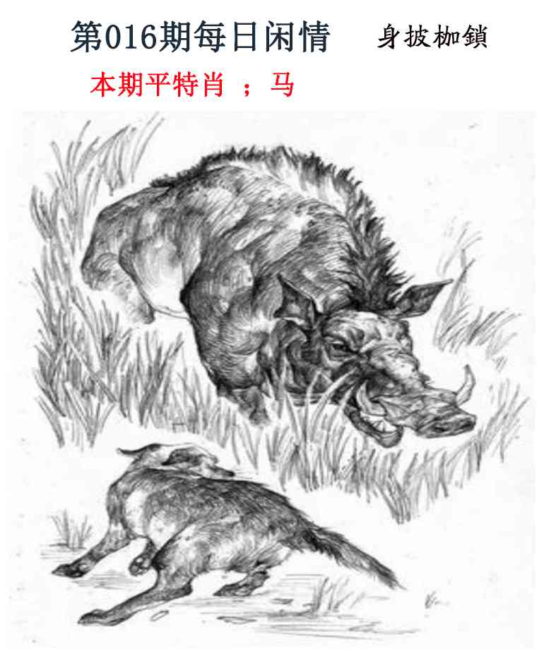 016期每日闲情[图]