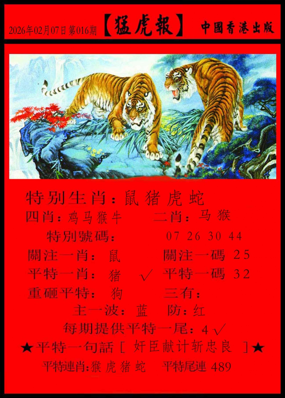 016期猛虎报[图]
