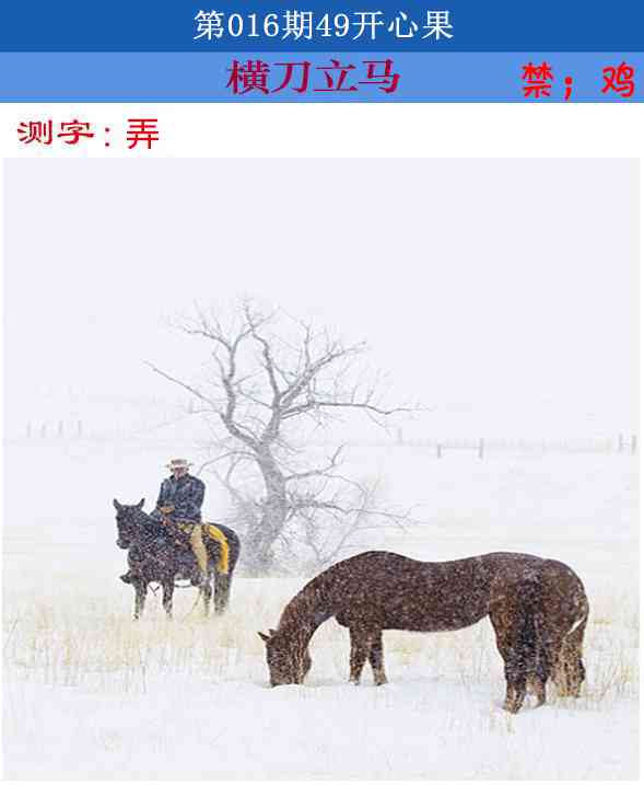 016期四九开心果[图]