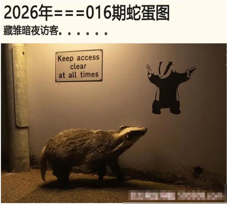 016期另版蛇蛋图[图]